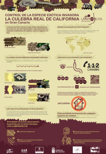 D3. Cartel del proyecto LIFE+LAMPROPELTIS