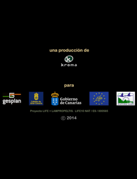 D2. Documental “La Invasión Silenciosa”