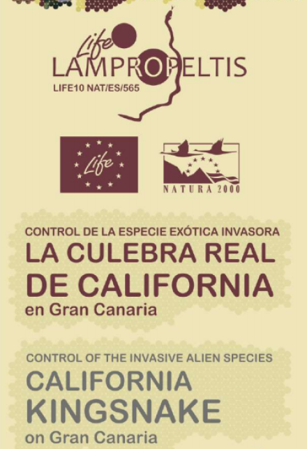 D3. Tríptico del proyecto (2015)
