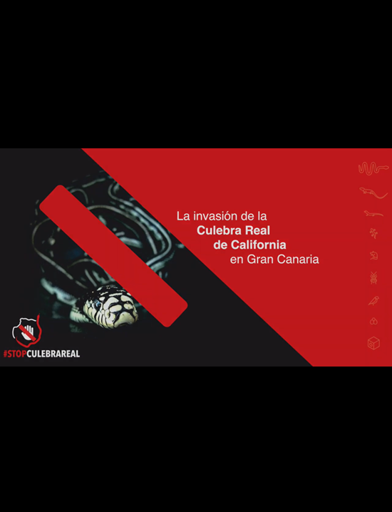 Presentación del proyecto #STOPCULEBRAREAL