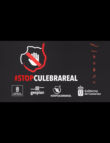 Píldoras de manejo de la app: los avisos