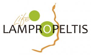 LIFE Lampropeltis