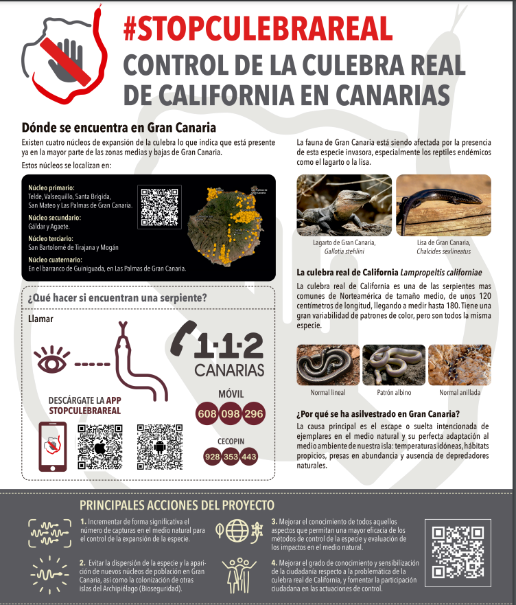 Cartel del proyecto (2021)