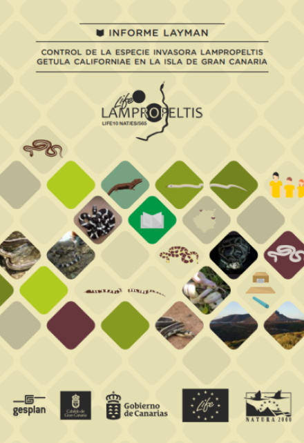 D5. Informe Layman. LIFE+ LAMPROPELTIS