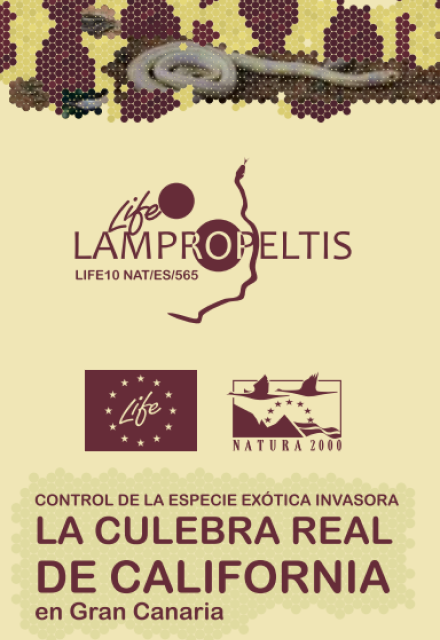 D3. Tríptico del Proyecto (2012)