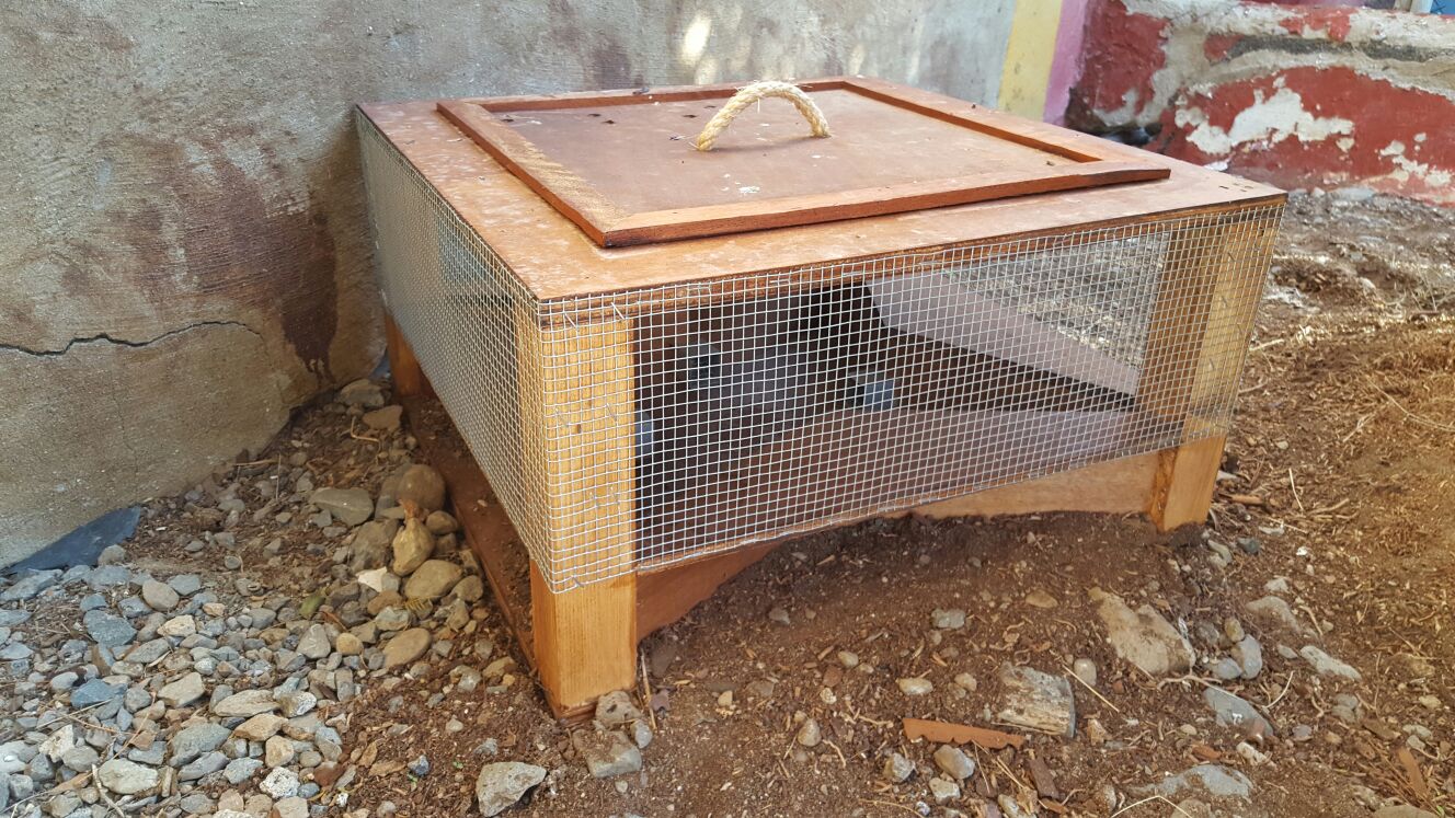Trampa de cajón