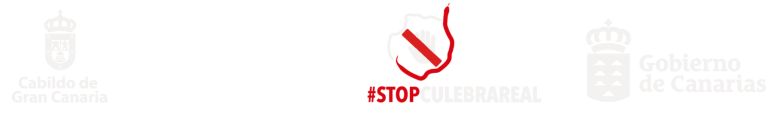 Cabildo de Gran Canaria, Gesplan, #STOPCULEBRAREAL y Gobierno de Canarias