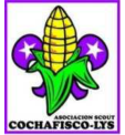 Cochafisco